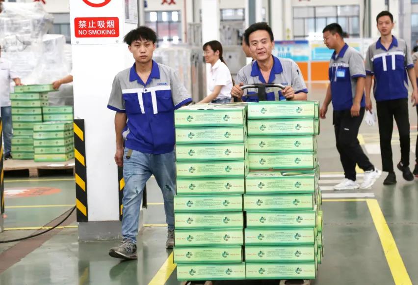 【正值夏日·“桃”你欢心】汤姆又给一线员工发福利了~